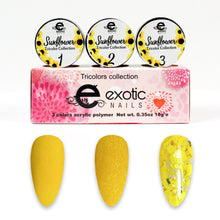 Sunflower Acrylic collection
