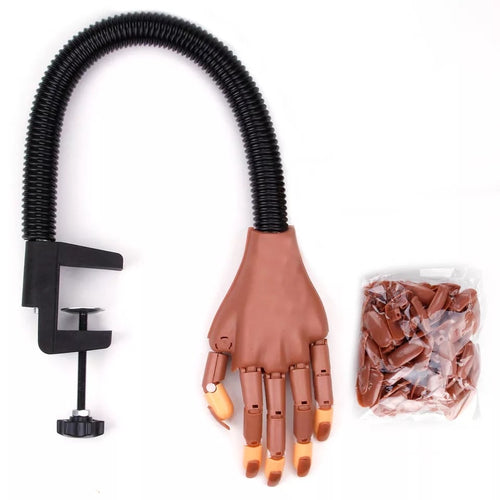 Profesional Practice Hand